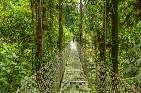 Costa Rica : Circuit Jungles et forêts