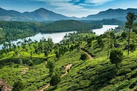 Inde : Circuit Richesses de l'Inde du Sud