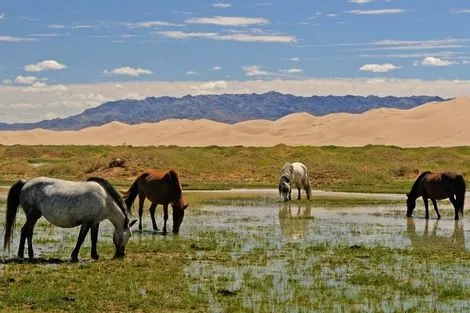 Mongolie : Circuit A la rencontre du Peuple Nomadee