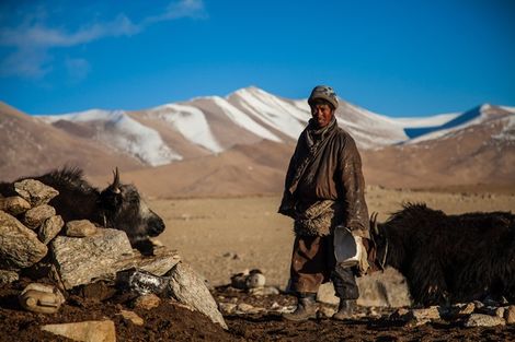 Mongolie : Circuit Aventure & Trekking de Yourtes en Yourtes