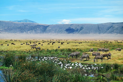 Tanzanie : Combiné circuit et hôtel Safari au cœur du Ngorongoro et plage du Jumbo Zanzibar Bay