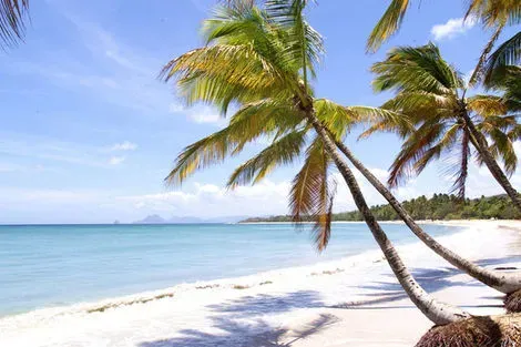 Guadeloupe : Combiné hôtels 2 îles - Guadeloupe et Martinique : Auberge de la Vieille Tour et Bakoua