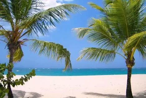 Republique Dominicaine : Hôtel Viva Wyndham V Heavens (adults Only)