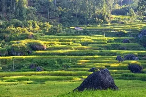 De Bali aux Célèbes 3* + Séjour au Sanur Paradise 4*