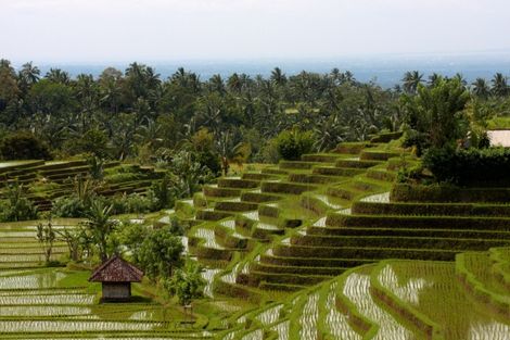 Jungle d'ubud Aux Sables de Bali