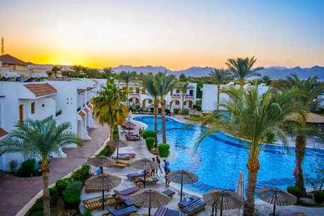 Egypte : Hôtel Dive Inn Resort 