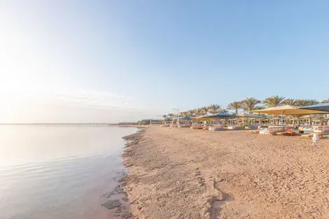 Egypte : Hôtel Royal Albatros Moderna