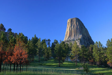 Devil's Tower