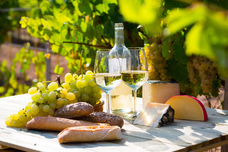 VIGNOBLE