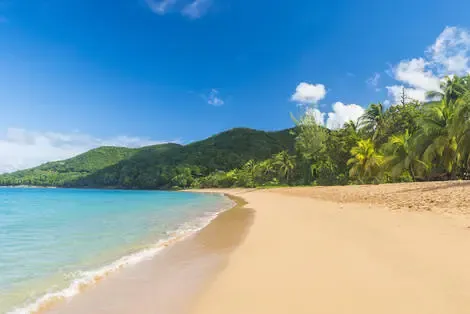 Hôtel Résidence Tropicana Suites deshaies Guadeloupe