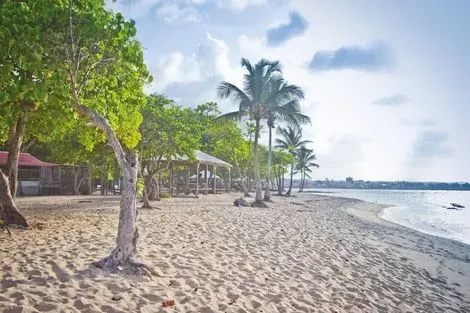 Hôtel Résidence Tropicale + Location Voiture pointe_a_pitre Guadeloupe