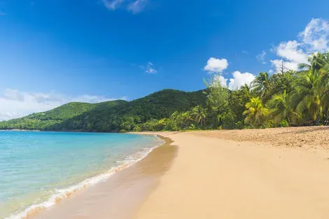Guadeloupe : Hôtel Résidence Tropicana Suites