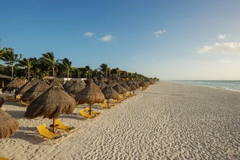 Hôtel Iberostar Tucan playa_del_carmen Mexique