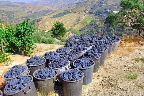Douro