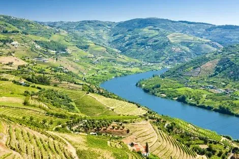 Rive Douro