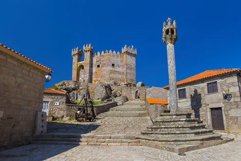 Penadono