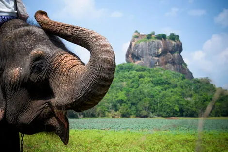 Circuit Ceylan, Royaume des Eléphants colombo Sri Lanka