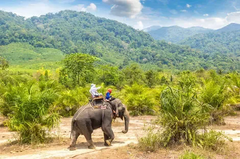 Circuit Trésors de Thaïlande et Krabi bangkok Thailande