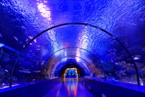 Aquarium d'Antalya