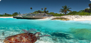 sejour dernière minute : Océan indien et Pacifique