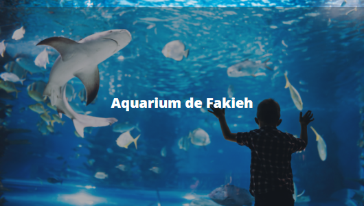 Aquarium