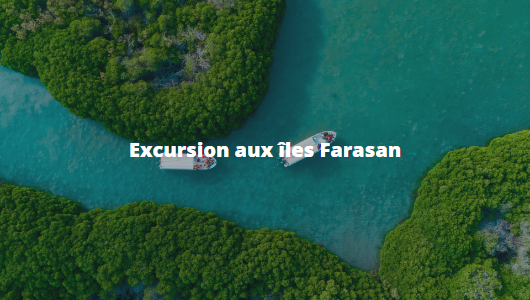 Ile de farazan