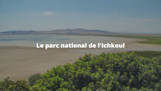 Le parc national d'Ichkeul