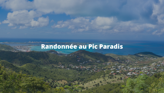 Les parcs marins