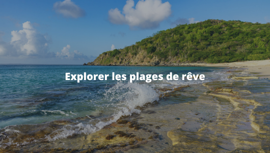 De nombreuses activités