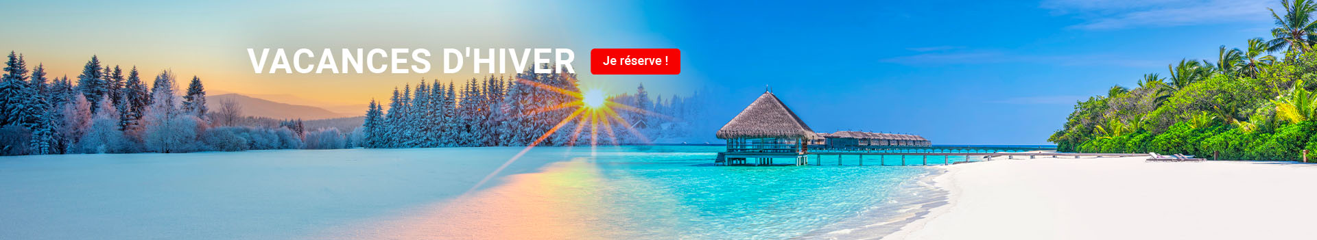 voyage tout compris