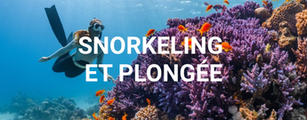 Snorkeling et plongée