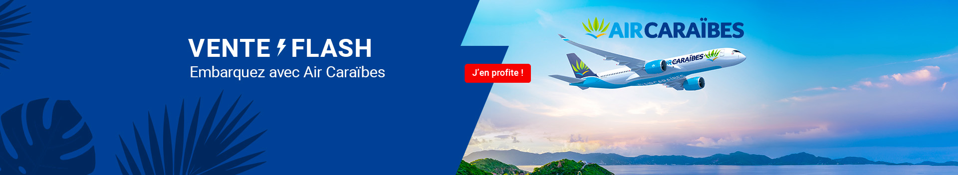 voyage tout compris