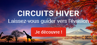 Focus circuits hiver 2026